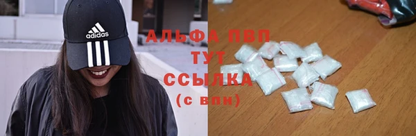 spice Аркадак