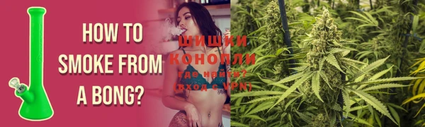 spice Аркадак